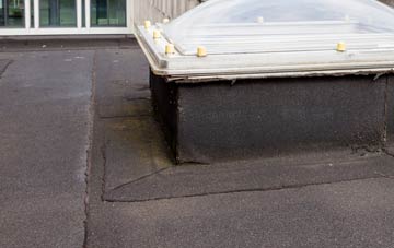 disadvantages of Drakemyre flat roofs